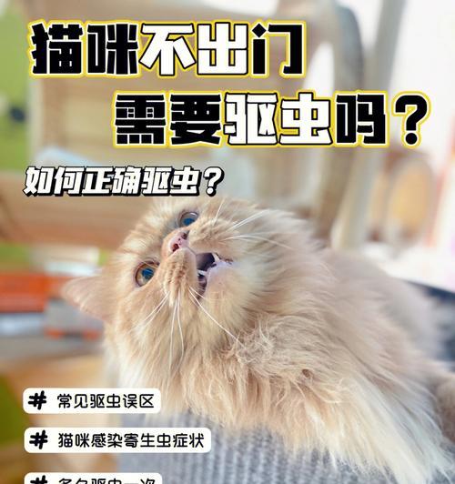 一月大的宠物猫能否带驱虫环（驱虫环的使用时间和注意事项）