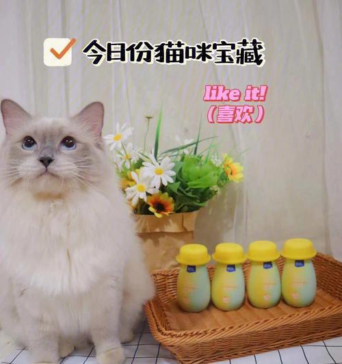 探寻猫咪酸奶的神奇之处（以宠物为主的营养补充品）