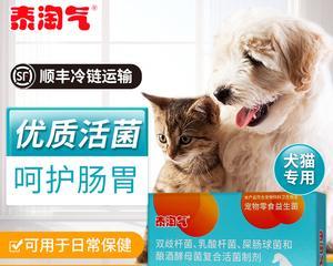 以狗作呕该吃什么药（宠物呕吐症状及应对方法）