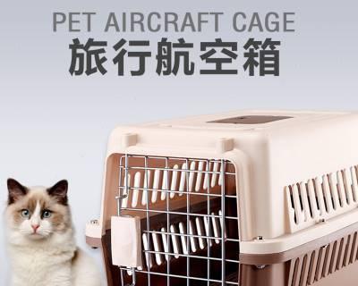 空运宠物猫咪的安全问题（以空运猫咪会死吗为主题的探讨）