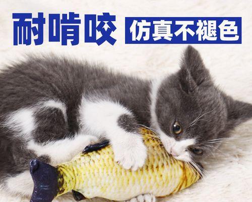 如何帮助六月大猫咪正确磨牙（宠物主人必知的关于猫咪磨牙的常识）