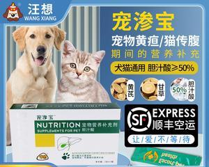 猫咪肝保健（宠物养护必读）