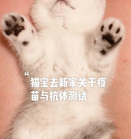 为宠物猫打疫苗的必要性（保护宠物健康）