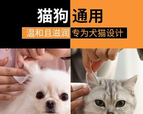 宠物猫耳朵肿，是什么原因引起的（了解宠物猫耳朵肿的病因和治疗方法）