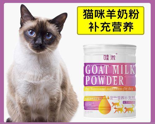 如何控制宠物猫的体重（以饮食管理和运动为基础的健康体重控制）