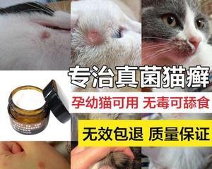 揭秘猫脓皮症，保护宠物健康（了解病因症状）