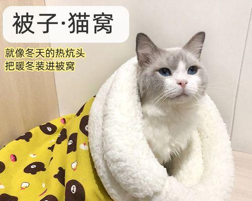 猫妈妈生小猫需要多久（探究猫妈妈生育周期及相关知识）