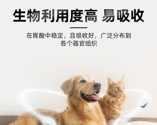 宠物必备应急药品，救护你的爱猫（猫咪的健康离不开这些药品）