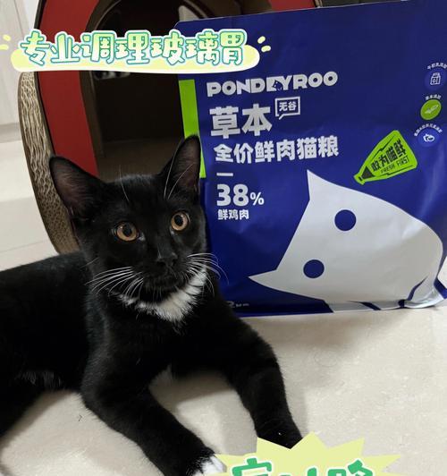 宠物必备应急药品，救护你的爱猫（猫咪的健康离不开这些药品）