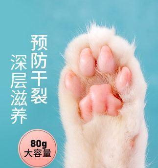 宠物猫咪脚掌烂了怎么办（保护宠物脚掌）