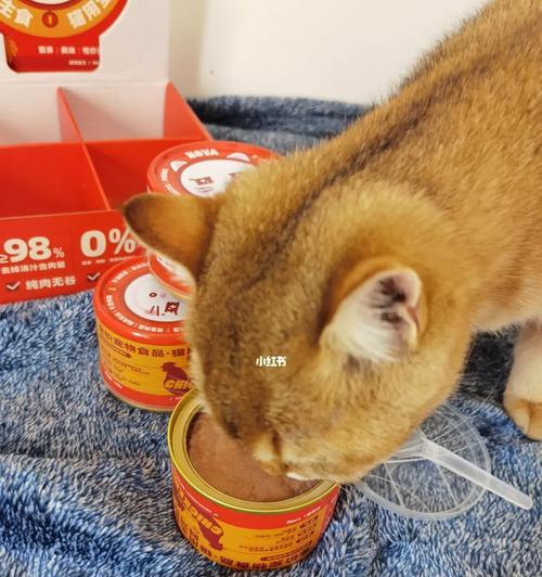 猫咪的健康生活（宠物主人必知的罐头食品常识与选购技巧）