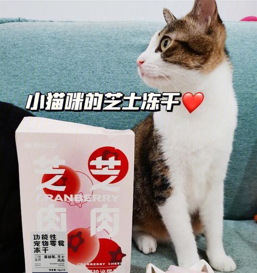 猫咪冻干喂养攻略（以宠物为主）