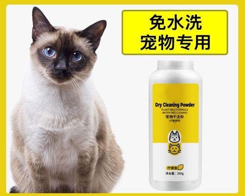 猫咪肚子能打吗（关于猫咪体内寄生虫的预防和治疗方法）