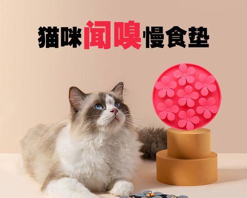 猫咪舔人行为的真相（揭开猫咪舔人的奥秘）