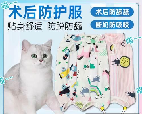 猫咪公母之别，你了解多少（从体型、性格、行为等方面看猫咪公母区别）