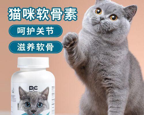 猫咪骨头积液该如何治疗（了解猫咪骨头积液的原因及治疗方法）