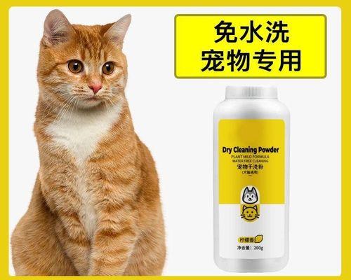 猫咪误喝沐浴露引发的健康问题（以宠物为主）