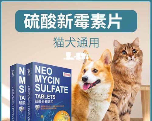 猫咪怀孕如何计算（了解猫咪怀孕周期）