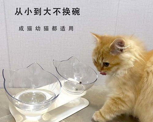 猫粮换购之道（以猫咪换猫粮好吗）