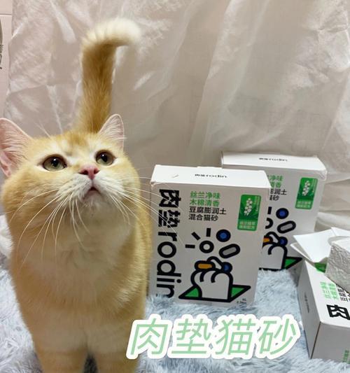 掌握这些方法，让你的猫咪会用猫砂变得更容易（如何让宠物猫咪在使用猫砂时更加自如）