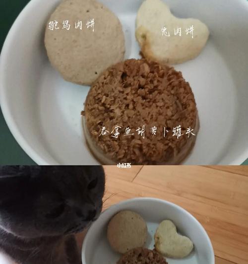 猫咪加餐必备，健康好味道（打造宠物的美味盛宴）