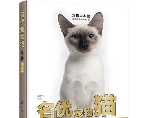 猫咪奖励指南（宠物训练必备）