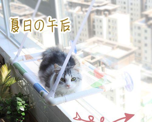 猫咪能否被绑（从宠物角度出发）