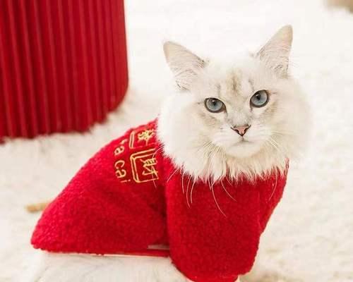 猫咪可以洗脸吗（猫咪的清洁习惯与注意事项）