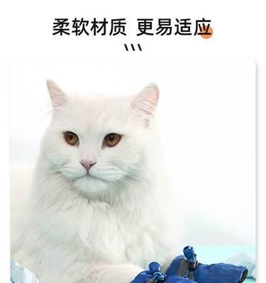 猫咪咬脚（了解猫咪咬脚的原因与解决方法）