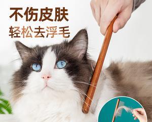 如何用猫咪毛刷为宠物除毛（掌握正确使用方法）