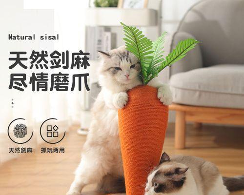 猫咪磨后爪子的正确方法（宠物猫咪爪子护理必备）