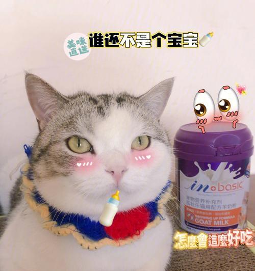 猫咪和牛奶的奇妙关系（探讨猫咪是否适合喝牛奶）