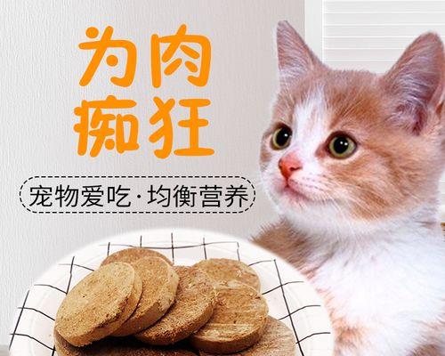 宠物食品购买指南——如何选购以猫咪牛肉为主要成分的食品（宠物健康从饮食开始）