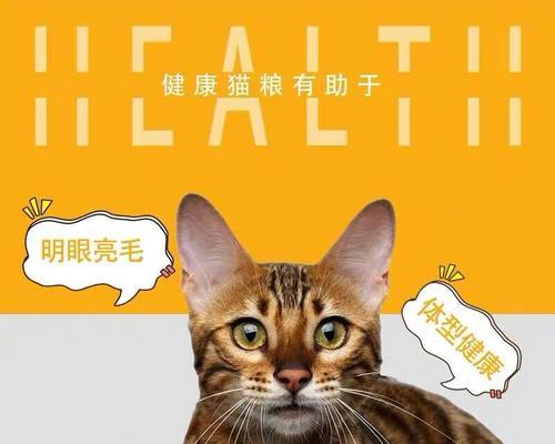 宠物食品购买指南——如何选购以猫咪牛肉为主要成分的食品（宠物健康从饮食开始）