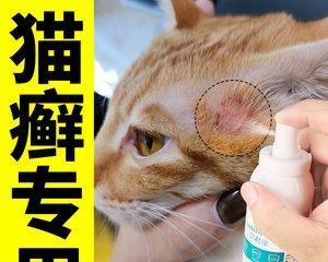 如何帮助宠物猫摆脱皮肤病脱毛（全面了解猫咪皮肤病）