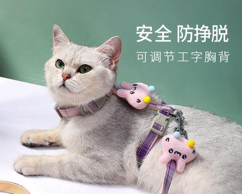 看懂猫咪情绪示意图，宠物生活更加精彩（以猫咪情绪图为窗口）