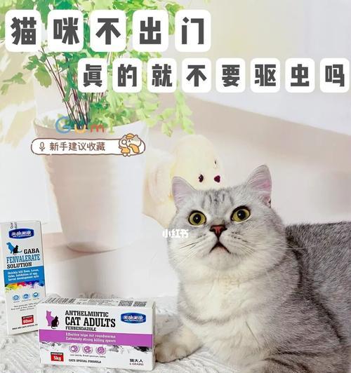 猫咪驱虫指南（一步一步教你如何给你的爱猫驱虫）