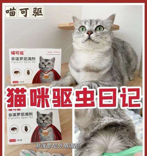 猫咪驱虫后毛发护理必备（宠物主人必读）