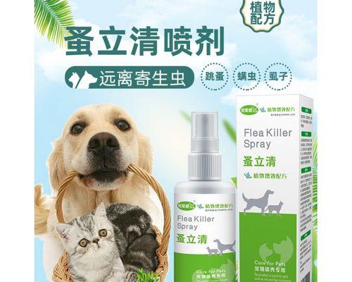 猫咪驱虫后毛发护理必备（宠物主人必读）