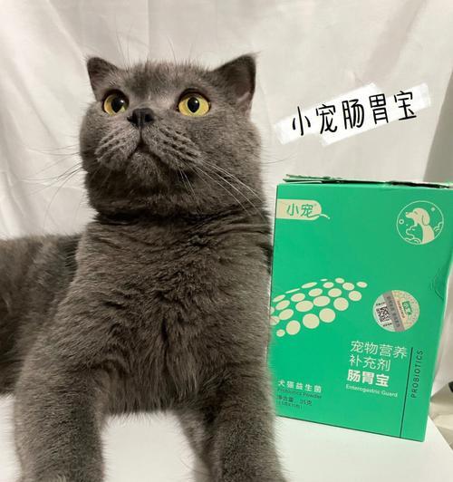 解决猫咪软便问题的终极指南（如何帮助你的宠物猫养成健康的肠道习惯）