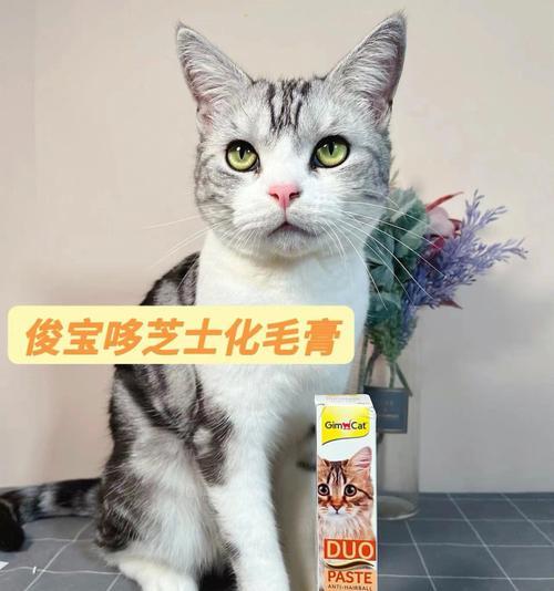 宠物小猫是否能吃化毛膏（了解化毛膏的成分和对小猫的影响）