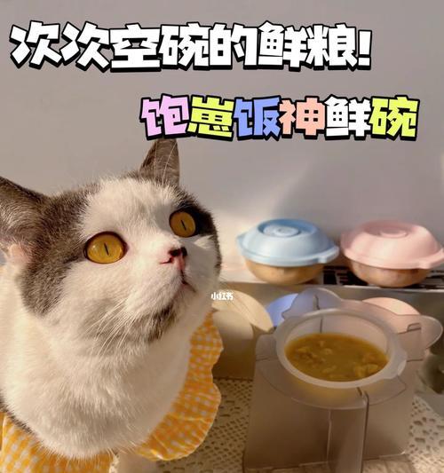 猫能吃生牛肉吗（探讨宠物饮食健康）