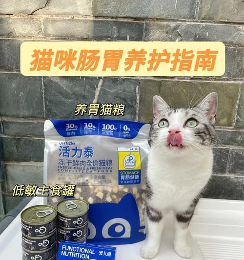 小猫是否适合食用益生菌（宠物的健康问题）