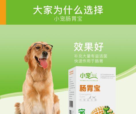 小猫是否适合食用益生菌（宠物的健康问题）