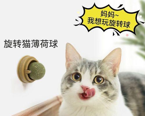 小猫能给木天廖带来什么（探讨宠物对主人的影响和贡献）