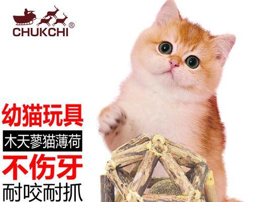 小猫能给木天廖带来什么（探讨宠物对主人的影响和贡献）