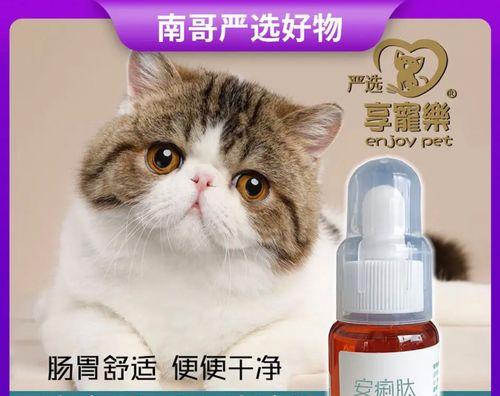 小猫兴奋过度引发呕吐拉稀问题，宠物主人必知（如何预防和处理小猫兴奋过度的身体反应）