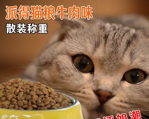 小猫喂养生牛肉全攻略（宠物健康从饮食开始）