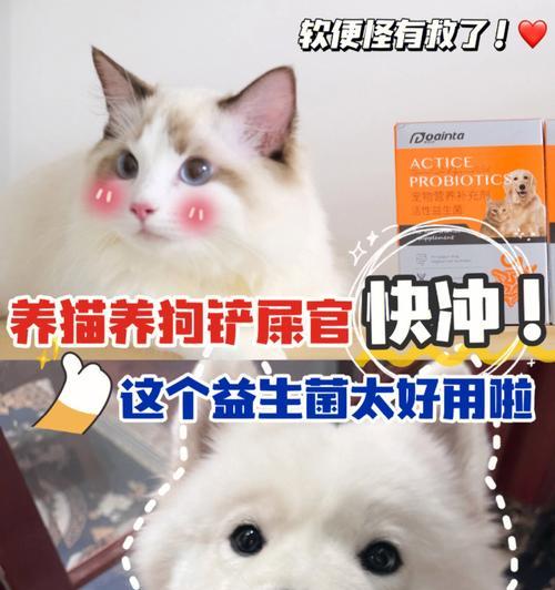 宠物小猫软便怎么办（药品和饮食调整缓解便秘）