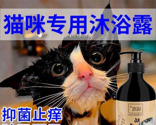 小猫身上的螨虫危害与预防（宠物猫身上螨虫的种类和症状表现）